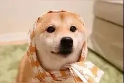 洛阳北郊机场最新票价及时刻表公布！看完忍不住了图片