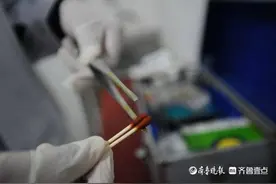 搜救犬菖菖生娃记图片