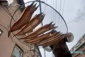 冬令美食｜生腌“渔”香 人间烟火的一味咸图片