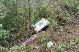 弯道行车捡手机，车辆冲下路坎！丨 覆车之戒图片