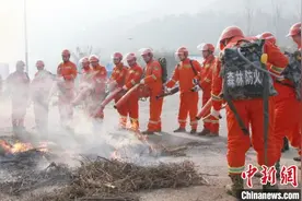 陕西省秦岭北麓森林草原防火演练举行图片