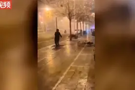 醉汉与小树对打12秒被KO三次，跌倒仍爬起继续打！评论亮了图片