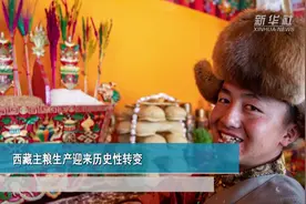 西藏主粮生产迎来历史性转变视频封面