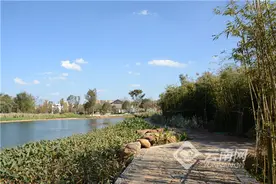 云南陆良：一座康养小镇正在崛起图片