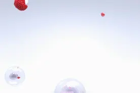 《一站到底》最强学霸登场 答题挑战刺激升级图片