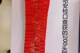 春节返乡别任性 携带违禁品进站乘车会被处罚哦图片