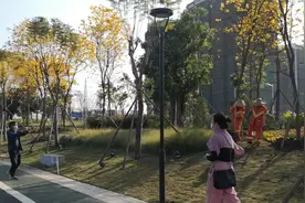 新年开工第一天，佛山市区领导干部为何齐来打卡禅城这个公园？图片