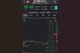 又一名“元老级”高管请辞 格力电器怎么了？图片