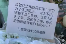 都是祖国的子女，谁家的都心痛图片