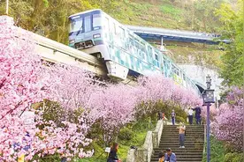 重庆“开往春天的列车”引爆网络图片