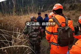 立大功了！杭州四条狗狗耗时9分钟，在山沟里找到了走丢老人图片