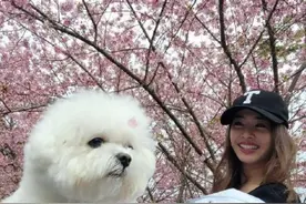 蔡依林外出春游赏花 穿黑色紧身衣搭黄色运动裤活力有型图片