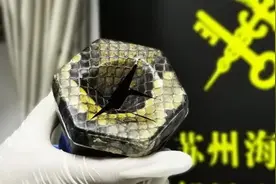 这几个配件太“特殊”！苏州海关查获5个蟒蛇皮制的二胡琴筒视频封面