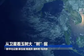 从卫星看玉树大“树”据视频封面