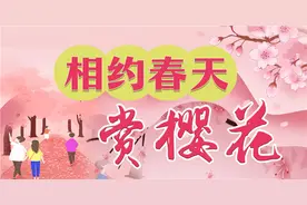 回来了！100多名援鄂医疗队员陆续抵汉，这一次他们还有新任务图片