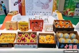 第二届热带水果产业博览会三亚开展图片