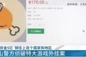 江苏警方破获全球最大游戏外挂案，两名主犯“收入”差距有点大图片