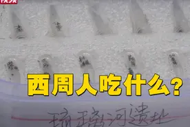 北京出土三千年前植物种子，揭秘西周人“食谱”视频封面