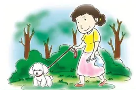 热闻｜济南拟每户限养一只小型犬，网友热议：金毛、拉布拉多咋办图片