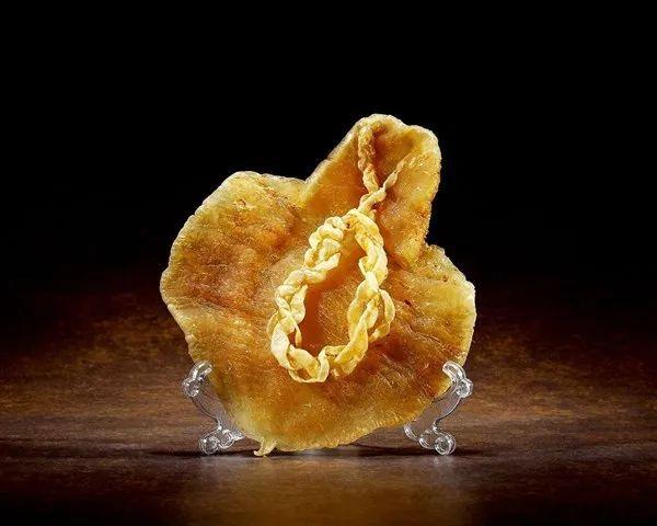 新西兰花胶的功效与作用 2026年新西兰花胶的功效与作用是什么