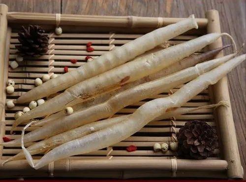 花胶很薄营养不会好吗 2026年花胶厚和薄哪个更健康