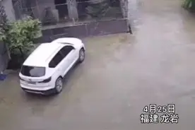 福建一小孩掰牛角被顶飞，钻入车底躲过一劫图片