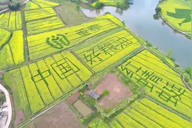 重庆粮食集团旗下凯欣粮油：围绕全产业链推进智能化升级图片