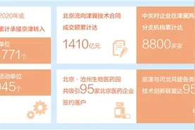 发挥比较优势 产业协同共赢图片