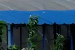 遭遇龙卷风 我们该咋办？图片