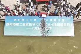 徐州：1.5万余尾花鲢投放云龙湖图片