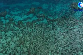 世界海洋日｜为了共同的海洋——走近澳大利亚大堡礁护礁员图片