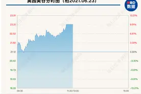 10亿甩卖，不干房地产了！这家公司一把“梭哈”转做医美，股价应声涨停，4.3万股东嗨了图片