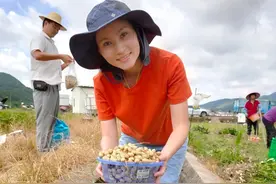 放弃高薪回乡创业，这位平远阿妹让小小花生变成致富“金豆子”图片