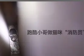 广州猫咪“消防员”，爱跑酷，更爱猫图片