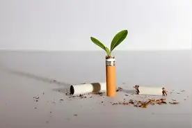 突然戒烟让人长胖有害健康？可能是“嘴巴寂寞”惹的祸图片