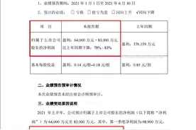 关注半年报丨“快递一哥”二季度扭亏仍填不上坑 顺丰上半年利润同比跌近8成图片