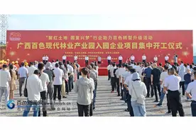 广西百色现代林业产业园入园企业项目集中开工图片