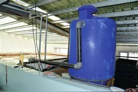 水之变鱼之乐图片