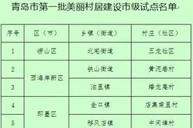 青岛公布第一批10个美丽村居建设市级试点名单图片