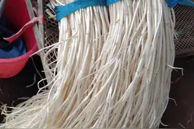 点点聚力支农助农 | 白芹、大米、葡萄等急寻销路图片