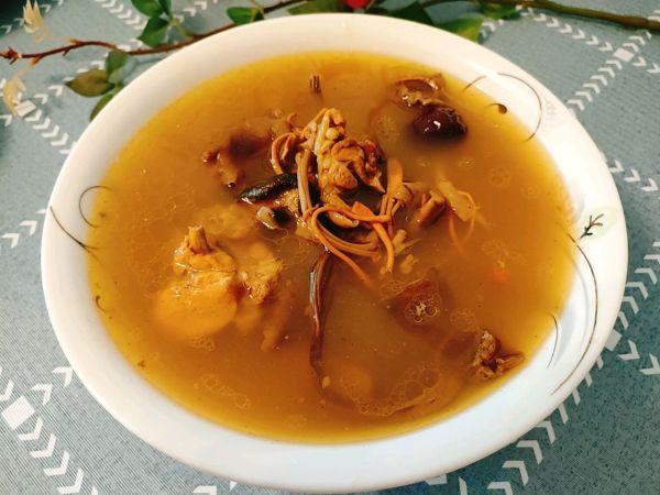 花胶煲菌菇 2026年花胶菌菇鸡汤