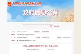 再增两个“国家级”渔港！广西仅有三个全在北海图片