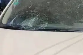 警探号｜就因为扔了一个塑料袋 哈尔滨一女子被刑拘图片