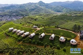 对话经济学家李实：求解共同富裕，需要兼顾发展与共享图片