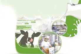 新疆牛奶“香”出圈图片