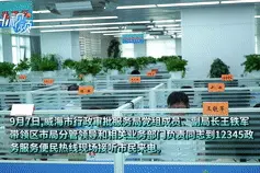 市行政审批服务局负责人上线12345，这些问题有答案了图片