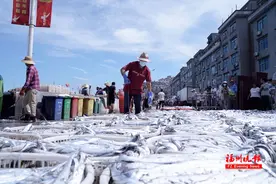 连江苔菉镇渔船满载归图片