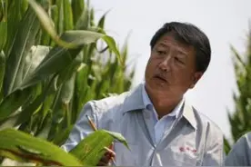 李登海“我就是个农民！”图片