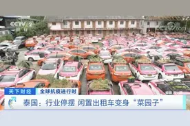 泰国：大量出租车停运交不起“份子钱”车顶变成“菜园子”图片