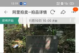 1.2亿元起拍！蔡元培之女故居将拍卖图片